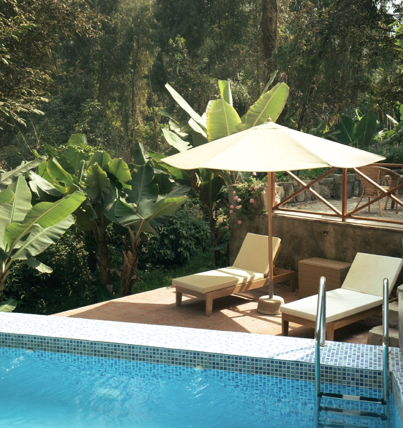 Piscina entre vegetación